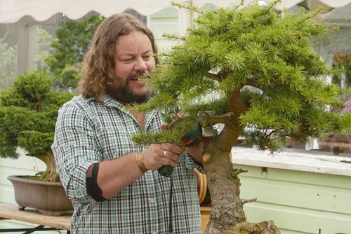  Corin Tomlinson at Greenwood Bonsai 