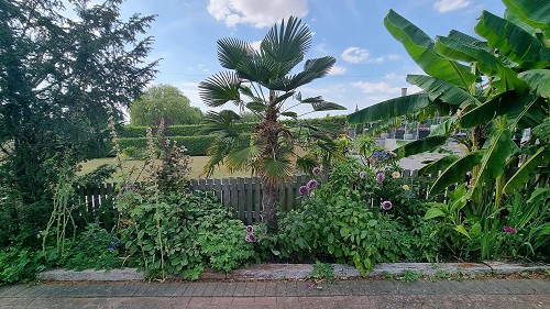  Honeytrees Tropical Garden 